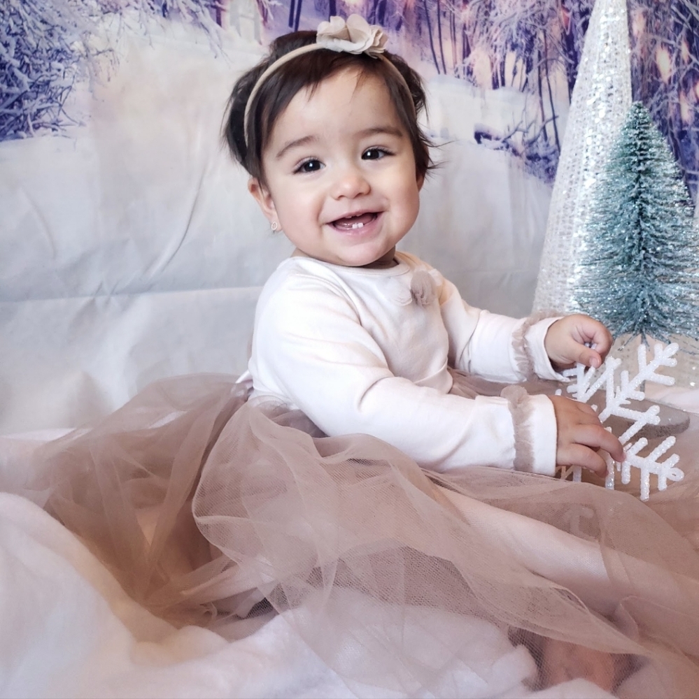Wendy bellissimo blush/tan color 9 to 12 months baby dress gorgeous tulle n bow